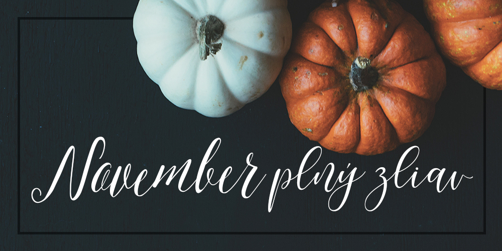 NOVEMBER PLN ZLIAV