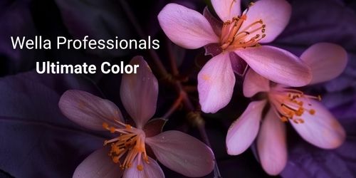 Profesion�lna starostlivos� Wella Professionals Ultimate Color: K��� k dlhotrvaj�cej farbe a zdrav�m vlasom!